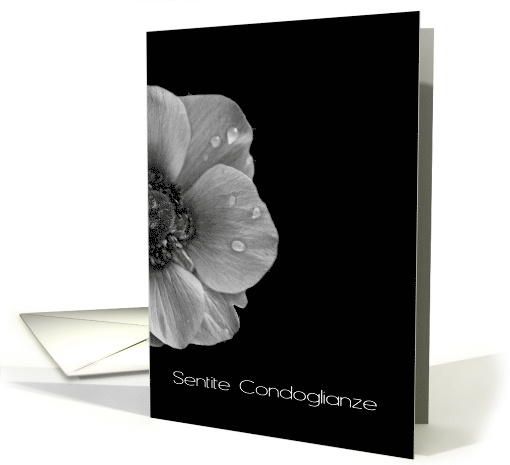 Italian Sympathy Anemone in Black and White card (602913)