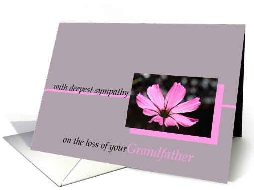 loss of grandfather pink cosmos flower sympathy card (603920)