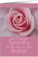 Sympathy on Loss of Brother Pink Rose card