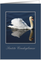 Italian Sympathy Floating Swan card