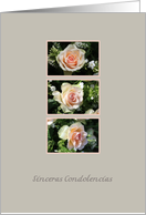 Spanish Sympathy Three Pink Roses card