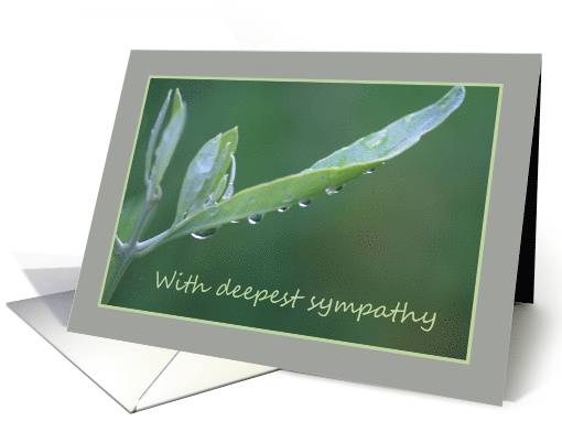 Sympathy Raindrops on Olive Leaf card (652606)