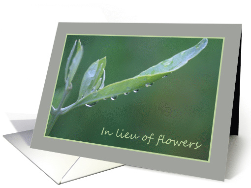 In Lieu of Flowers Raindrops on Olive Leaf card (652626)