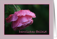 German Sympathy Raindrops on Pink Rose card