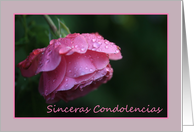 Spanish Sympathy Raindrops on Pink Rose card