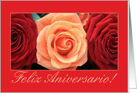 Spanish Wedding Anniversary Pink and Red Roses card