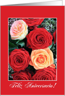 Spanish Wedding Anniversary Pink and Red Roses card