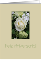 Spanish Wedding Anniversary White Rose card