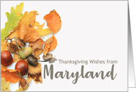 Maryland Thanksgiving Wishes Fall Foliage card
