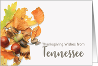 Tennessee Thanksgiving Wishes Fall Foliage card