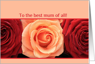 to the best mum, happy mother’s day card - red and orange roses card