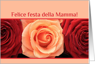 Italian Mother’s Day Felice Festa della Mamma Red Orange Roses card