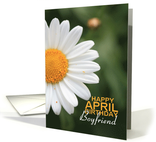 Boyfriend Happy April Birthday Daisy April Birth Month Flower card