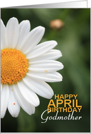 Godmother Happy April Birthday Daisy April Birth Month Flower card