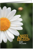 Mum Happy April Birthday Daisy April Birth Month Flower card