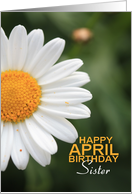 Sister Happy April Birthday Daisy April Birth Month Flower card