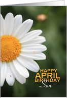 Son Happy April Birthday Daisy April Birth Month Flower card