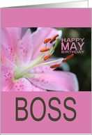 BossHappy May Birthday Tigerlily May Birth Month Flower card