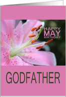 Godfather Happy May Birthday Tigerlily May Birth Month Flower card