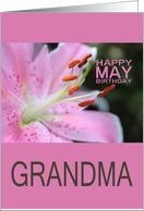 Grandma Happy May Birthday Tigerlily May Birth Month Flower card