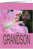 Grandson Happy May Birthday Tigerlily May Birth Month Flower card