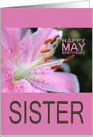 Sister Happy May Birthday Tigerlily May Birth Month Flower card