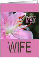 Wife Happy May Birthday Tigerlily May Birth Month Flower card