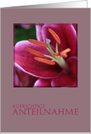 German Sympathy Purple Pink Lily card