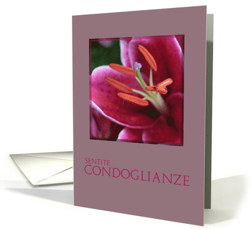Italian Sympathy Pink Purple Lily card (778175)