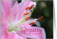 Boyfriend Pink Lily Sympathy card