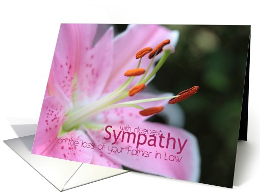 father in law Pink Lily Sympathy card (778278)