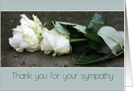 Thank You for Sympathy White Roses card