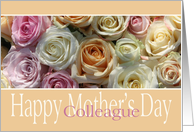 Colleague Happy Mother’s Day Pastel Roses card