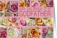 Godfather Happy June Birthday Pastel Roses June Birth Month Flower card