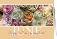 Boss Happy June Birthday Pastel Roses June Birth Month Flower card