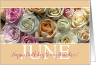 Grandson Happy June Birthday Pastel Roses June Birth Month Flower card