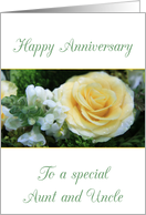 Aunt & Uncle Happy Wedding Anniversary Big Yellow Rose card