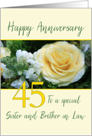 Sister and Brother in Law 45th Wedding Anniversary Yellow Rose card