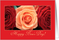 Boss’s Day Orange and Red Roses card