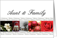 Aunt & Family Merry Christmas red, black & white Winter collage christmas card