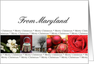 Maryland State specific card red, black & white Winter collage card