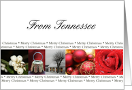 Tennessee State specific card red, black & white Winter collage card