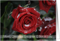 Red rose in snow Merry Christmas Daughter & Son in Law card