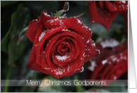 Merry Christmas Godparents, Red rose in snow card
