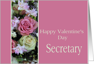 Secretary Happy Valentine’s Day pink and white roses card