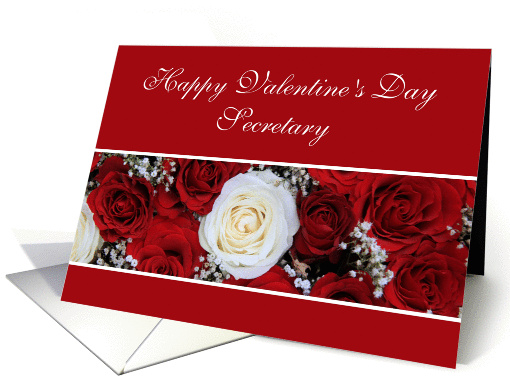 Secretary Happy Valentine's Day red and white roses card (895152)