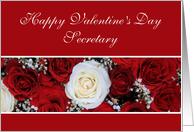 Secretary Happy Valentine’s Day red and white roses card