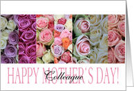 Happy Mother’s Day, mixed pastel roses for Colleague card