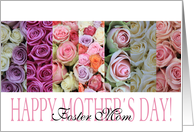 Happy Mother’s Day, mixed pastel roses for Foster Mom card