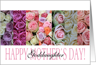 Happy Mother’s Day, mixed pastel roses for Goddaughter card